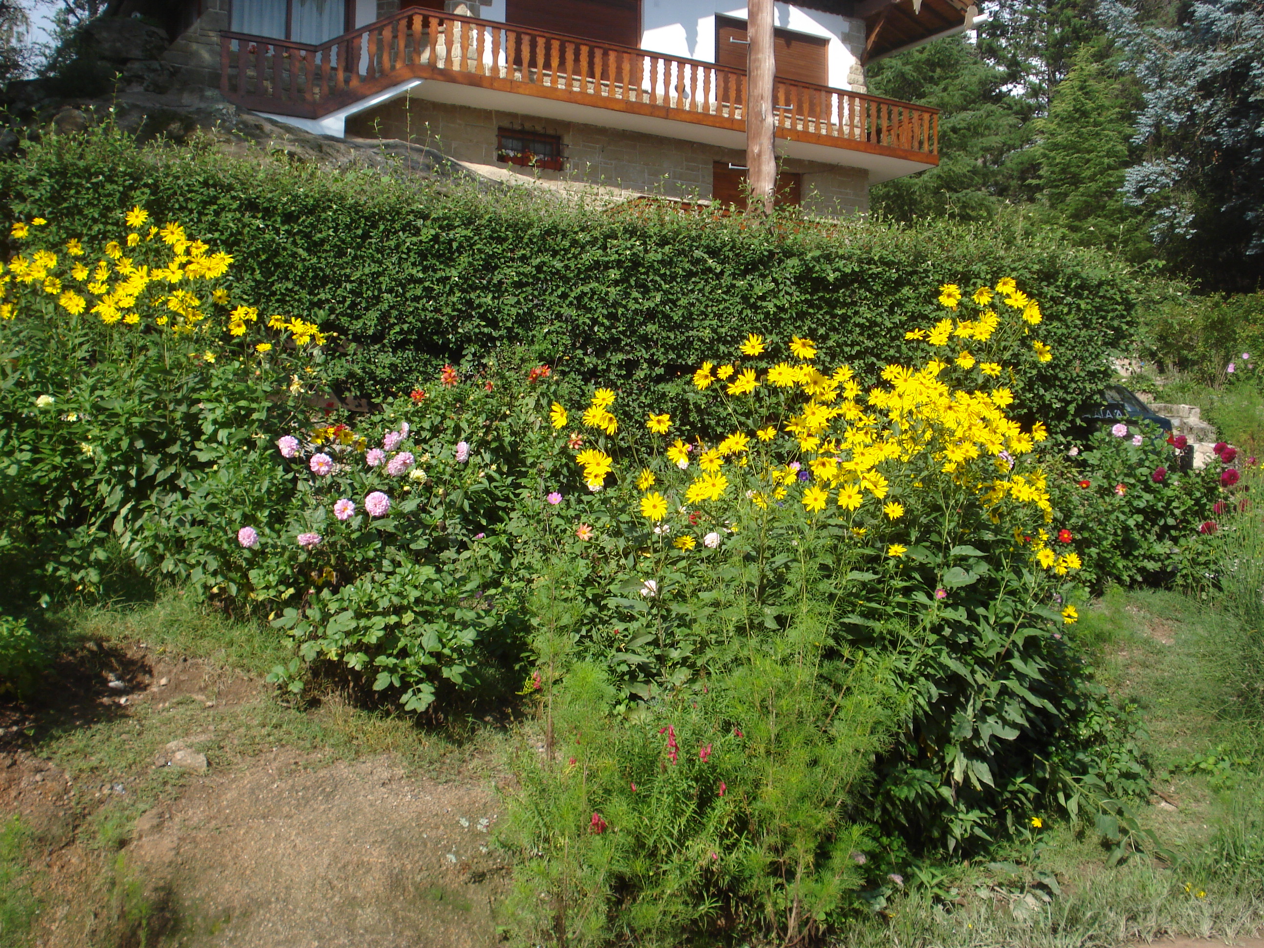 fotos/2011 - Los Reartes/DSC00471.JPG